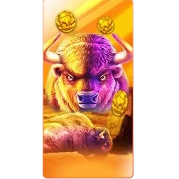 Buffalo
King
